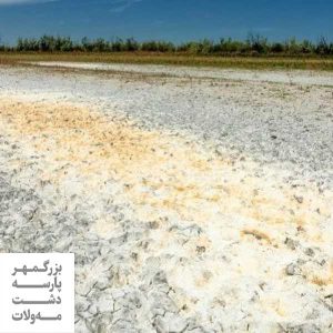 خاک شور