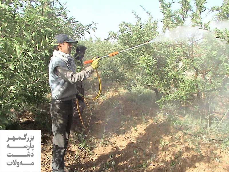 ویژگی فیزیکی و شیمیایی روغن ولک