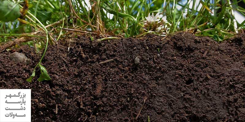 اهمیت اصلاح خاک