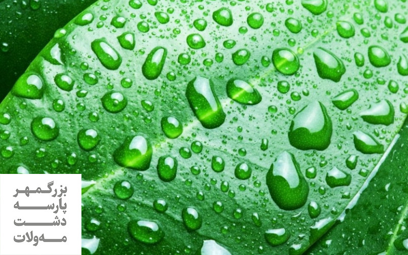 مزایای محلول پاشی