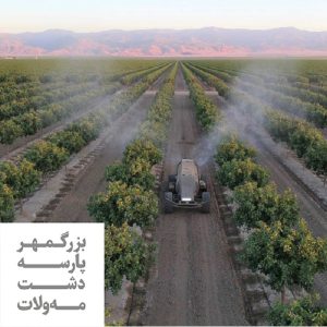 محلول پاشی