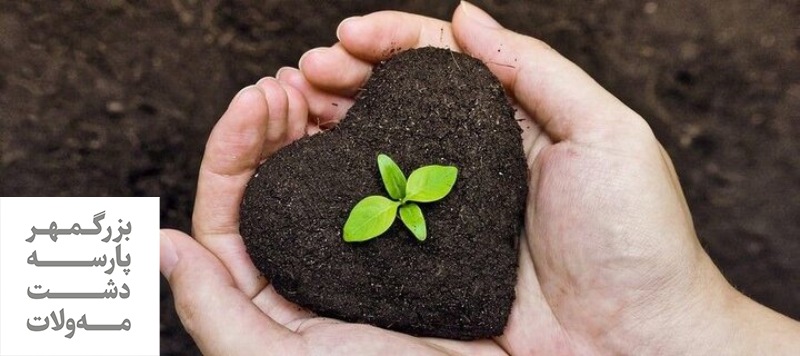 مزایای استفاده از کود NPK