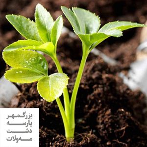 آشنایی با انواع کودهای آلی