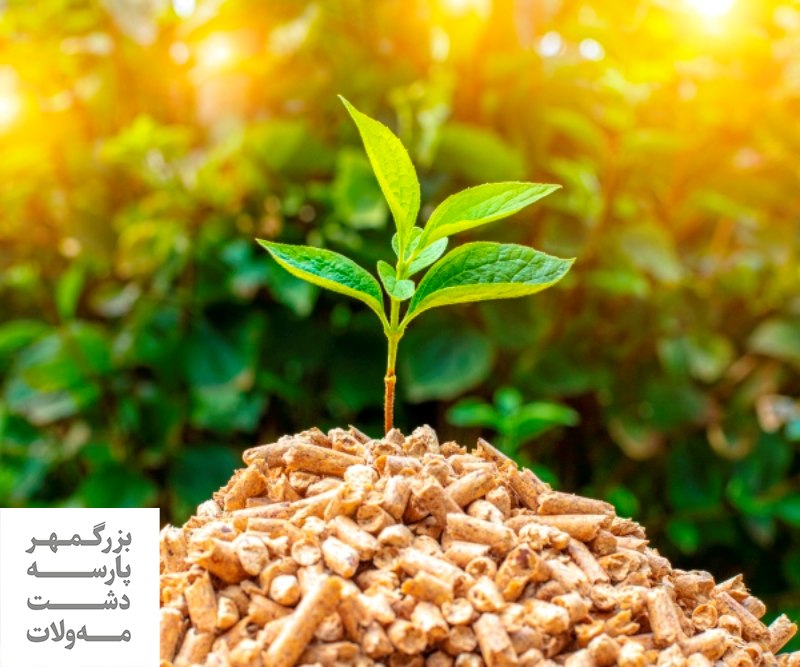 معرفی انواع کودهای آلی