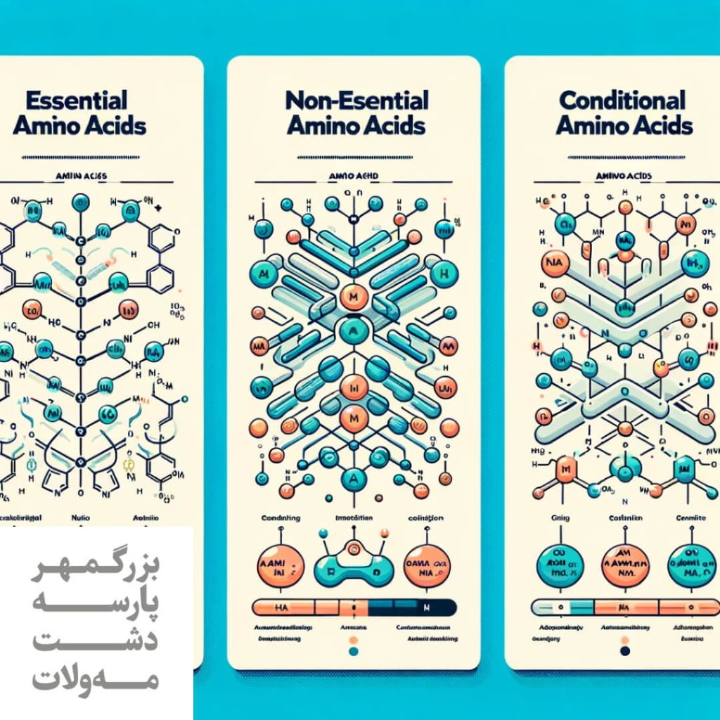 انواع آمینو اسید