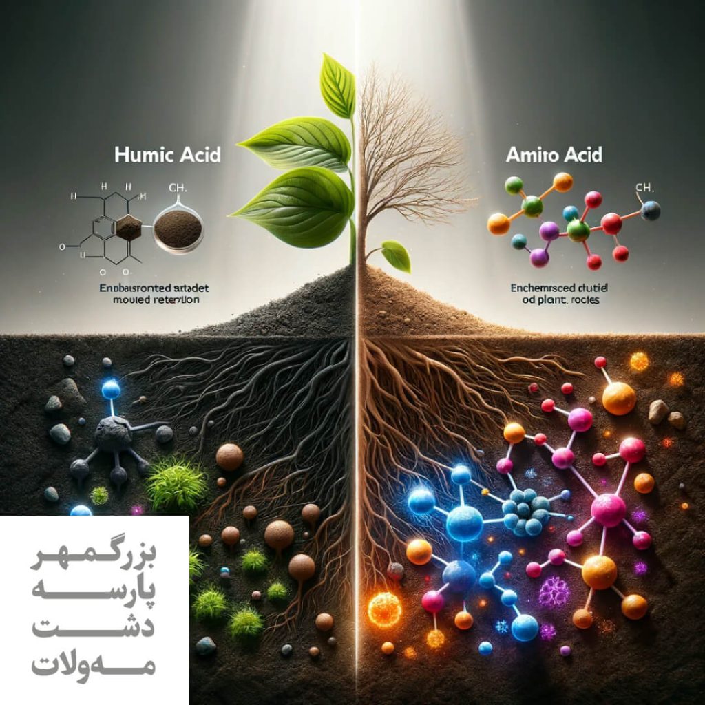 تفاوت هیومیک اسید و آمینو اسید