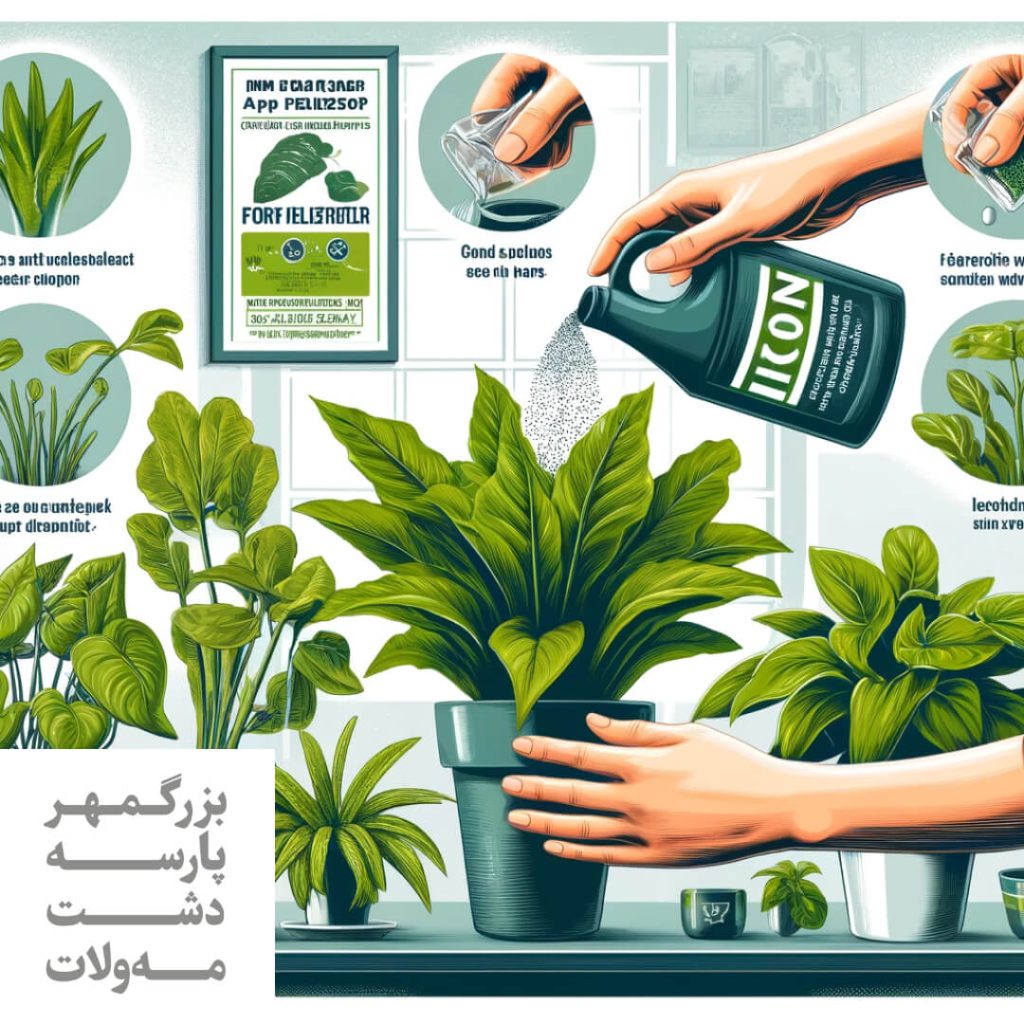 استفاده از کود آهن برای گیاهان آپارتمانی