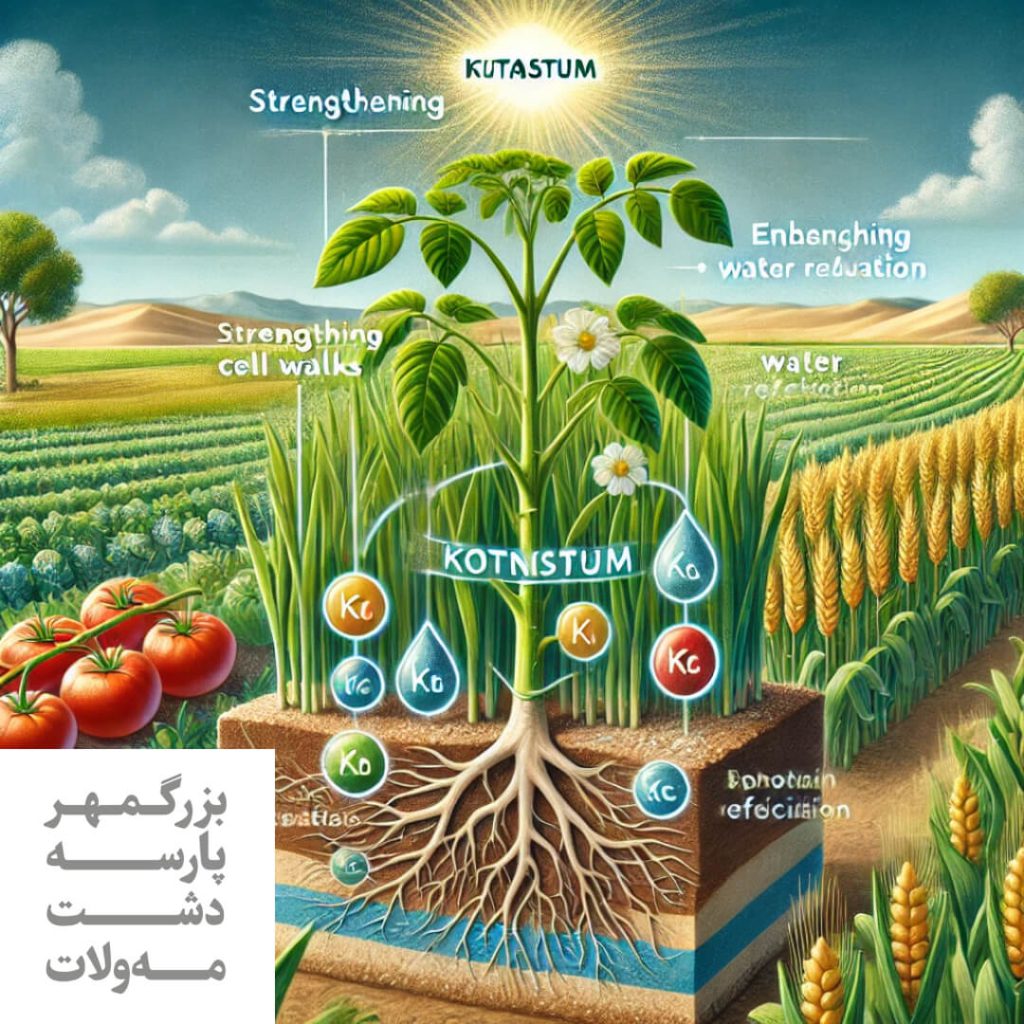 نقش پتاسیم در تغذیه گیاهان