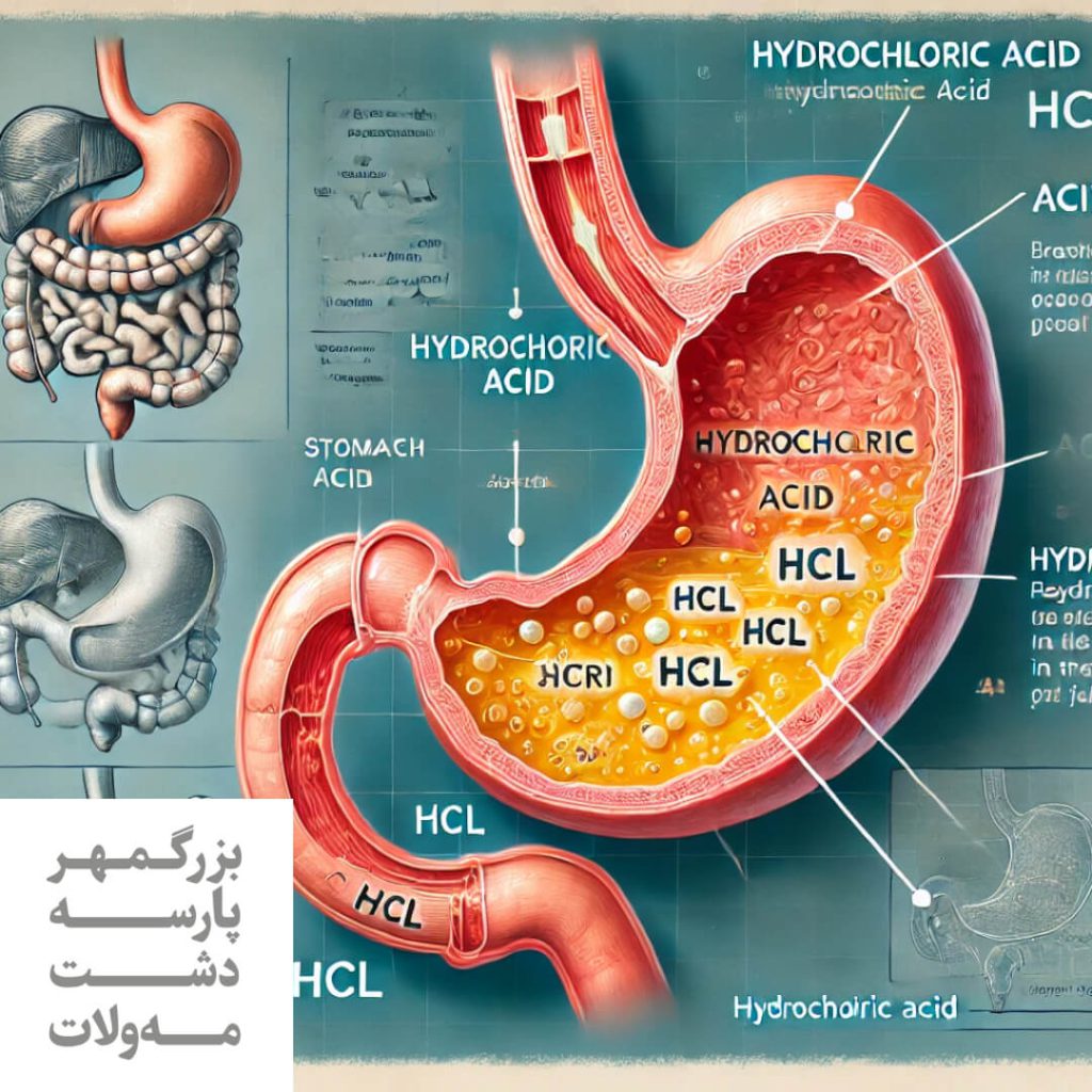 کلریدریک اسید معده