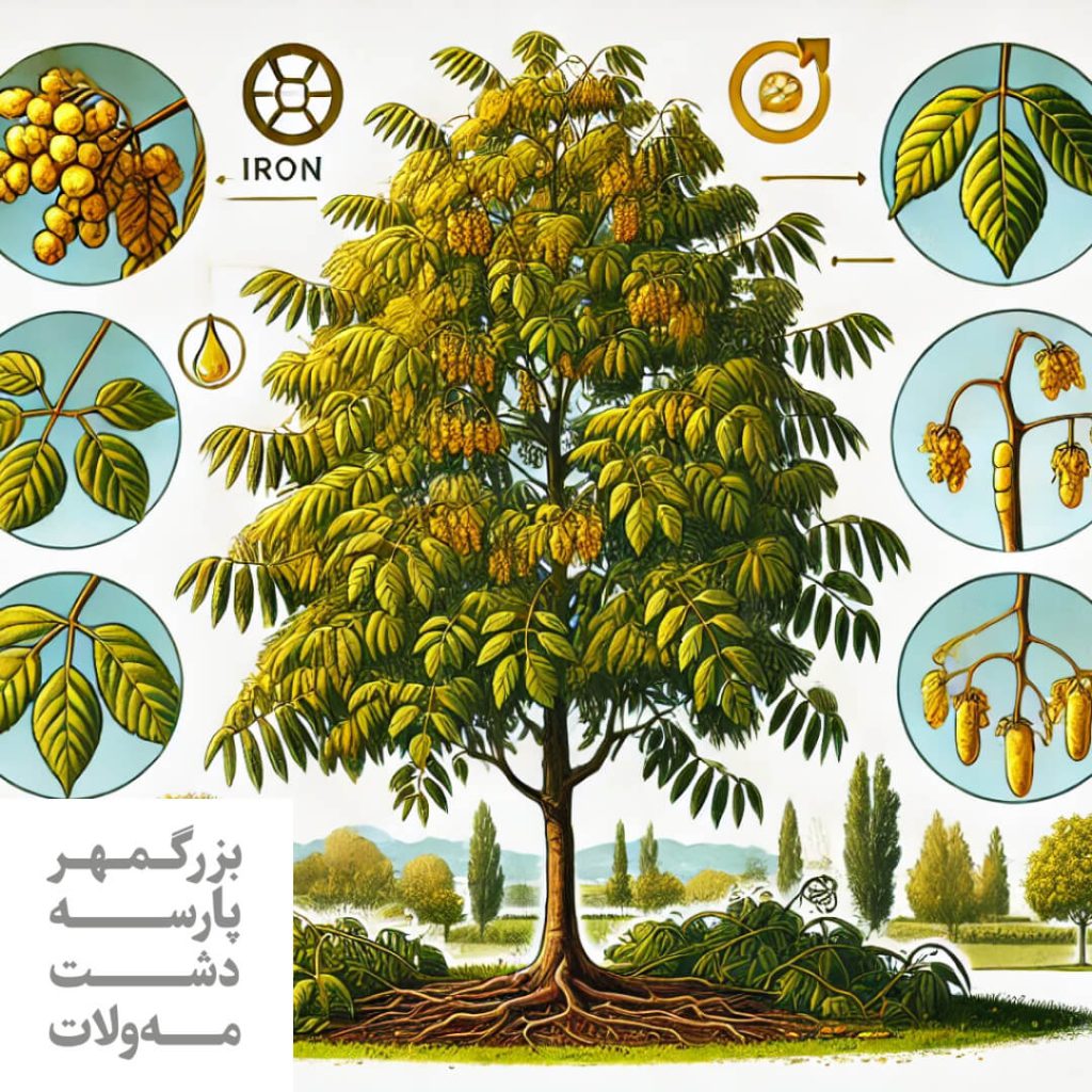 کمبود آهن در درختان