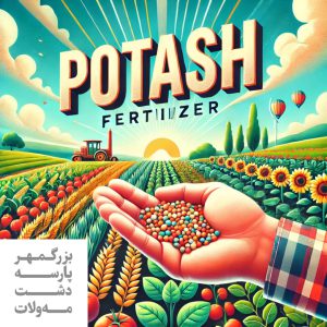 کود پتاس